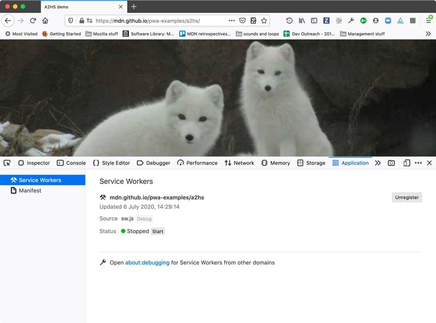 the firefox application panel zoomed out view showing a picture of two arctic foxes