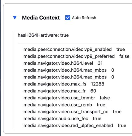 example about:webrtc media context values
