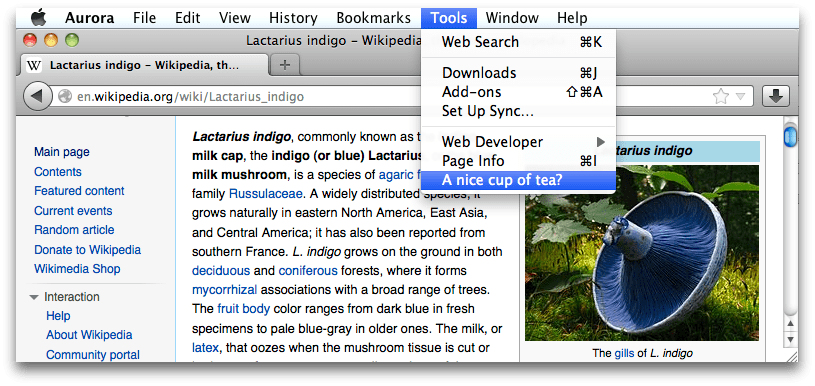 ../../_images/browser-console-modify-ui-osx.png