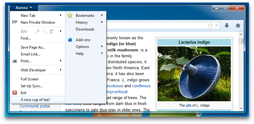 ../../_images/browser-console-modify-ui-windows.png