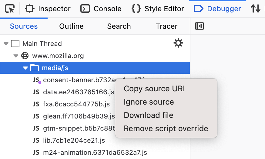 Script Override in the Debugger