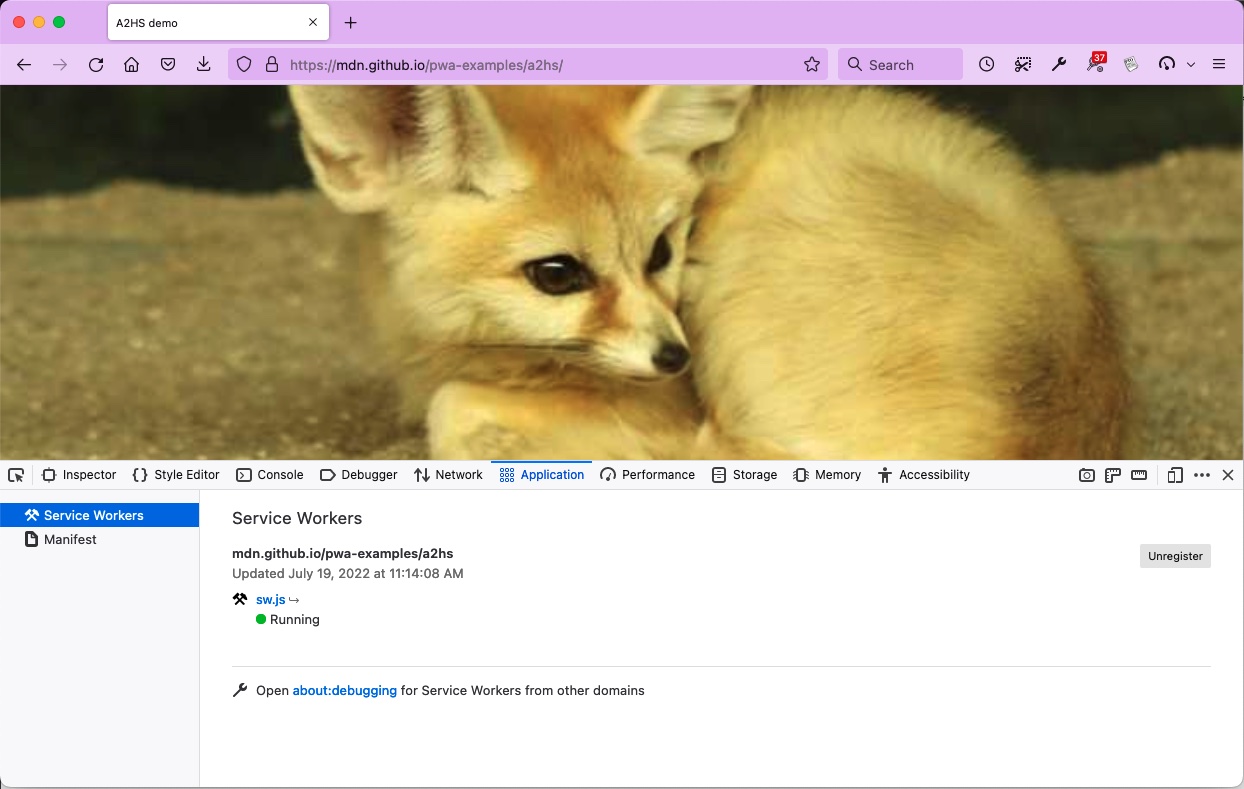 the firefox application panel zoomed out view showing a picture of two arctic foxes
